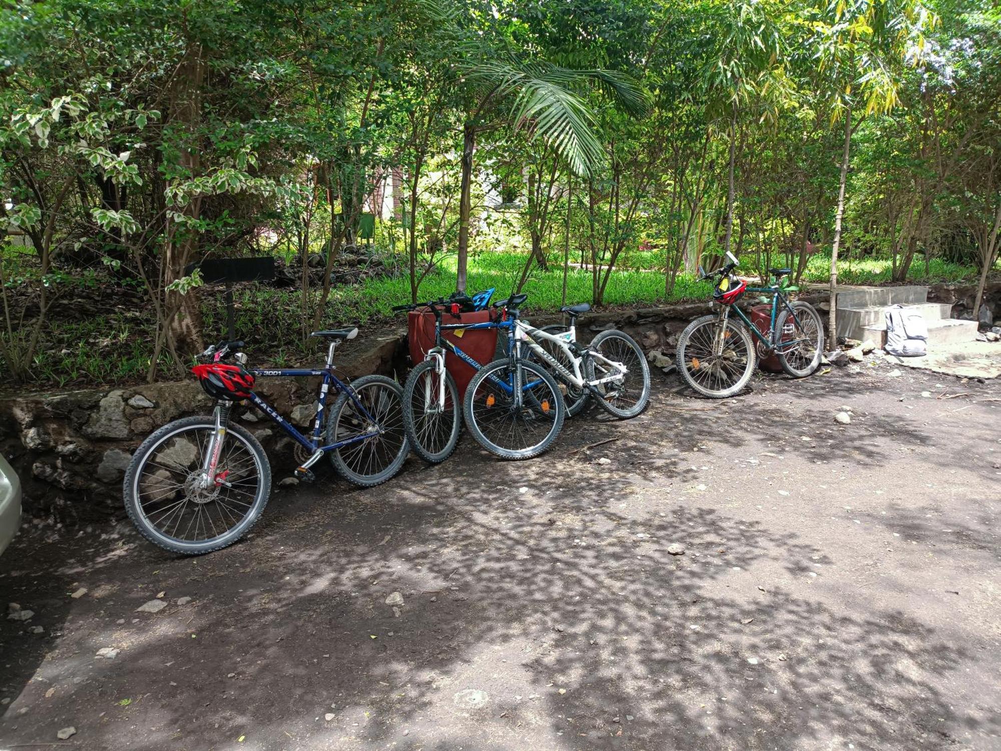 Shamba Hostel Usa River Dış mekan fotoğraf