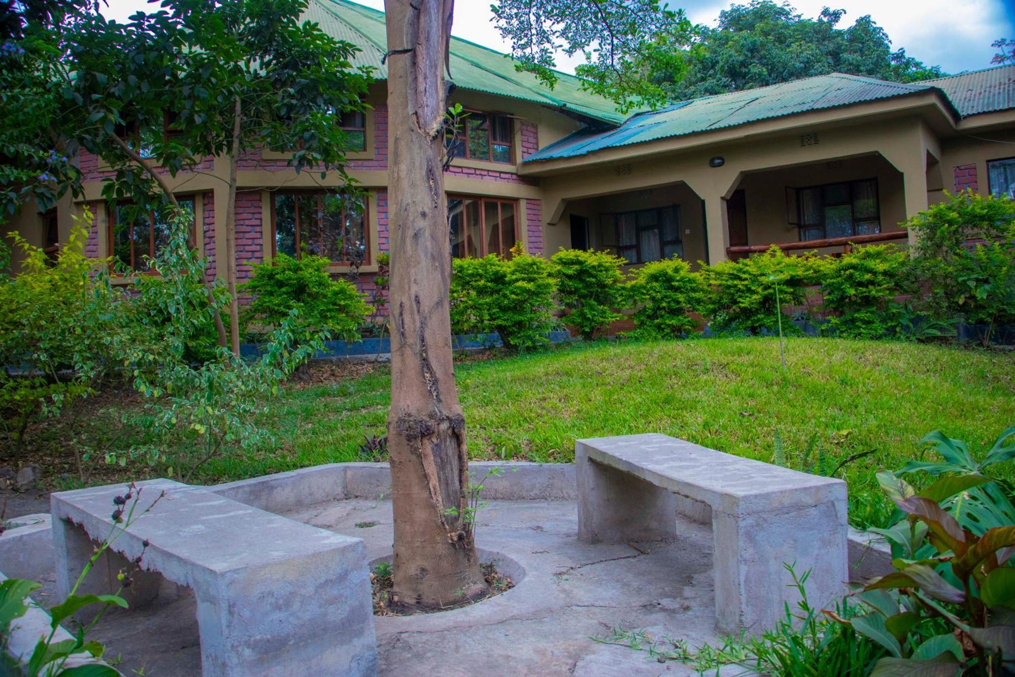Shamba Hostel Usa River Dış mekan fotoğraf