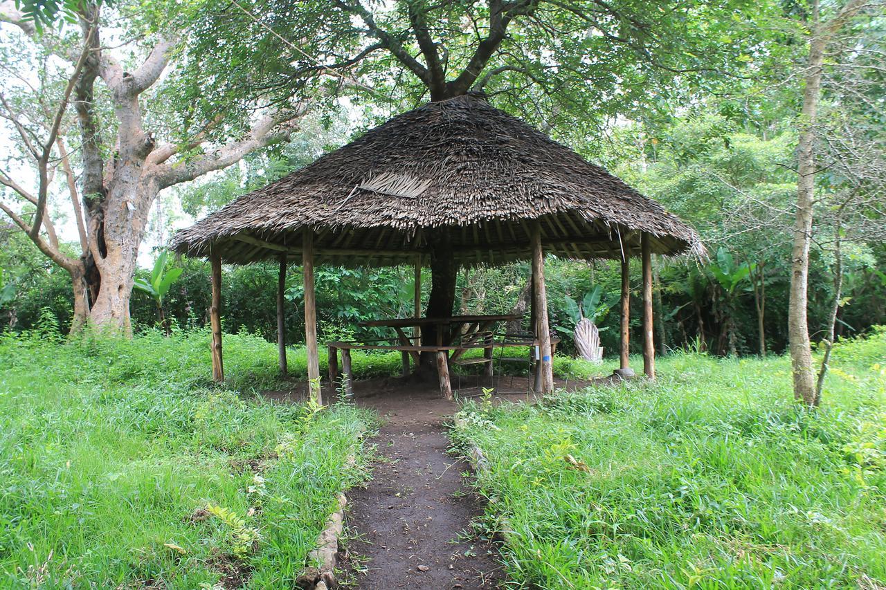 Shamba Hostel Usa River Dış mekan fotoğraf