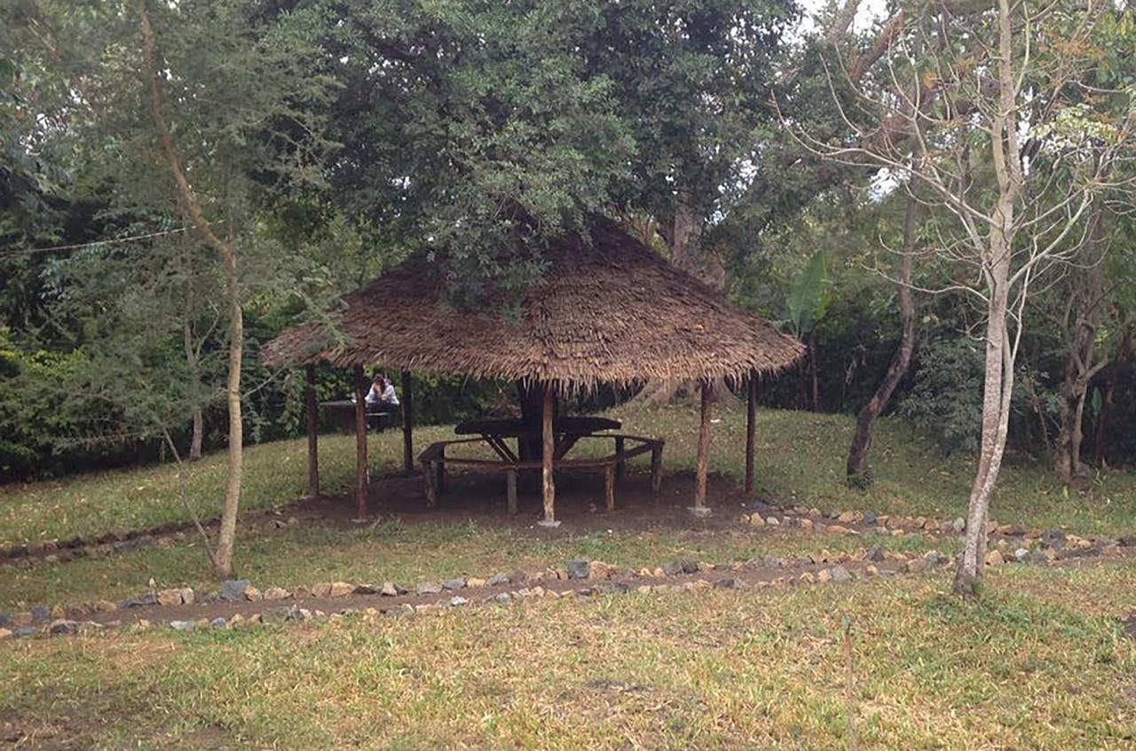 Shamba Hostel Usa River Dış mekan fotoğraf
