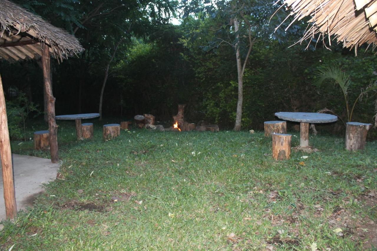 Shamba Hostel Usa River Dış mekan fotoğraf